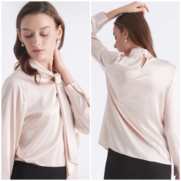 Pale Pink Silk Feminine Stand Collar Blouse Top with Pearl Clip Brooch - Picture 5 of 6